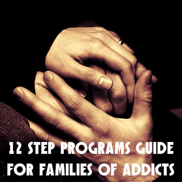 An Introduction To 12-Step Programs: A Guide For Families Of Addicts