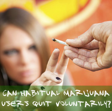 Can Habitual Marijuana Users Quit Voluntarily | Cannabis Withdrawal