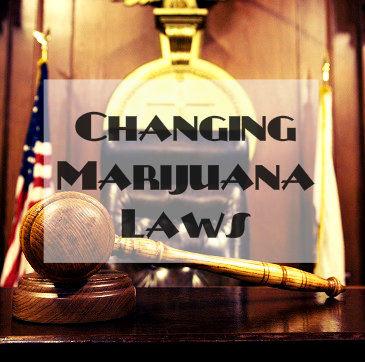 How Have Marijuana Laws Changed | Cons Of Legalizing Marijuana