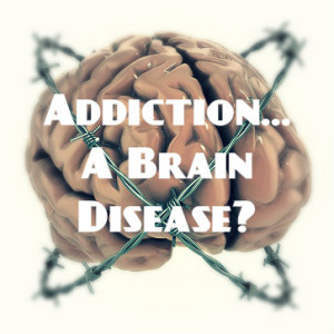 Is Addiction A Brain Disease | How Drugs Affect The Brain