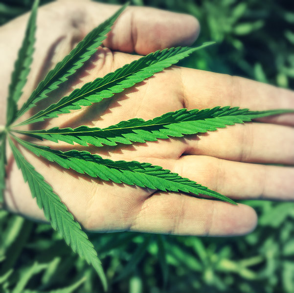 Can You Safely Use Recreational Marijuana - DrugRehab.us