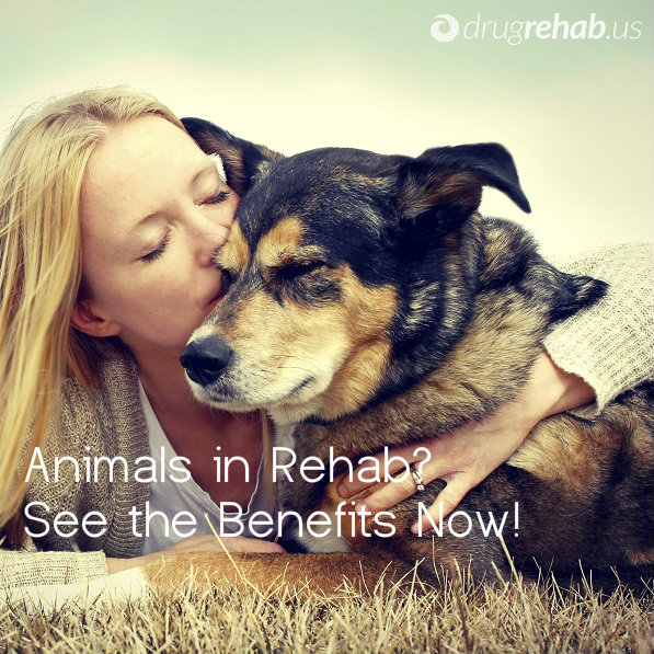 Animals In Rehab-See Benefits-Animal Therapy - DrugRehab.us